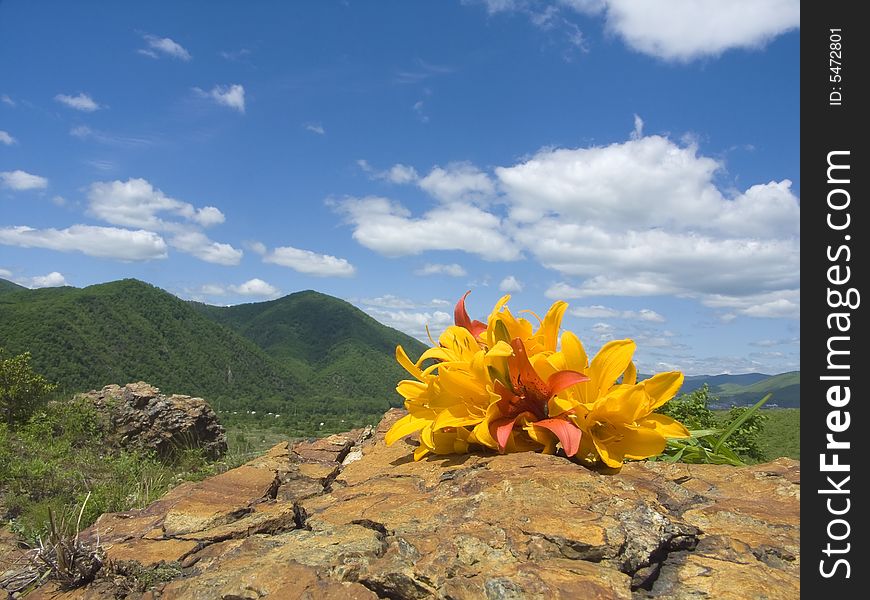 bouquet lily rests upon stone