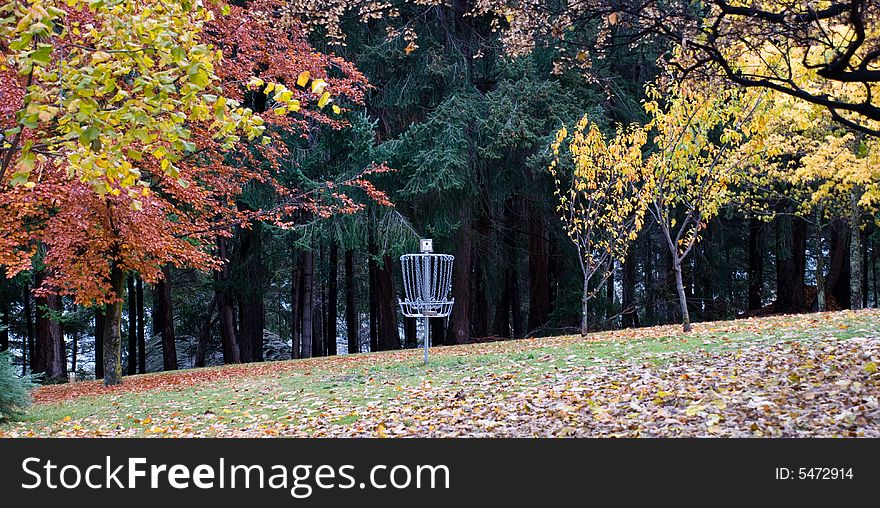 Park in Autumn colours 
Queenstown, New Zealand