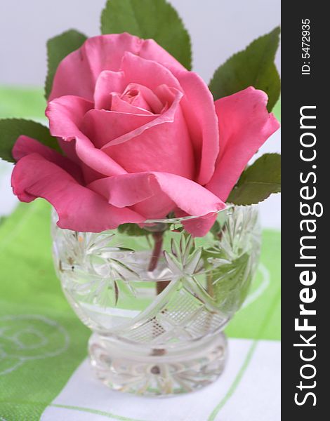 Glass with pink rose (table decoration, present)