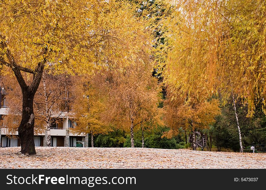 Park in Autumn colours