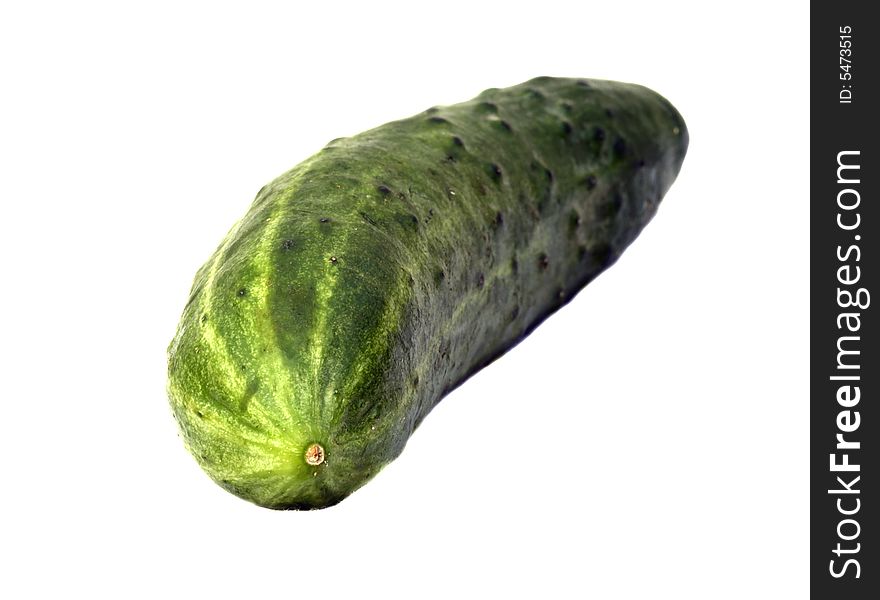 Fresh creen cucumber on white background. Fresh creen cucumber on white background