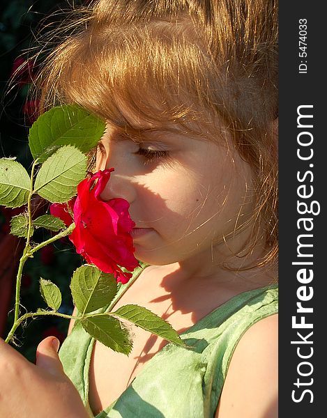 Dreaming pretty little girl smelling a red rose. Dreaming pretty little girl smelling a red rose