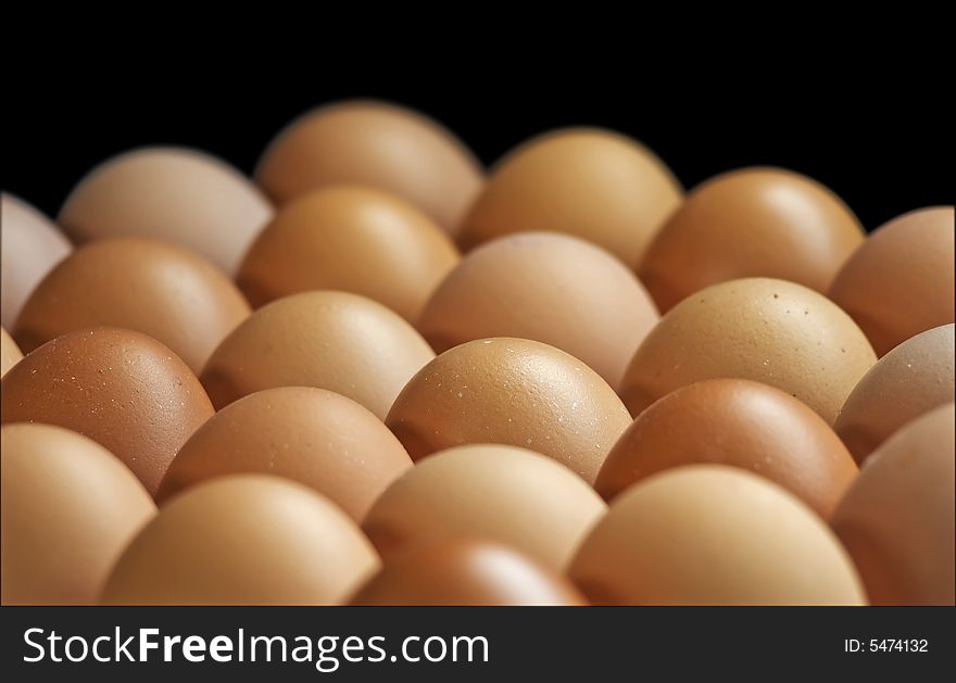 Close up of chicken eggs