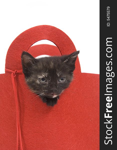 A kitten peeks over the top of a red bag on a white background. A kitten peeks over the top of a red bag on a white background