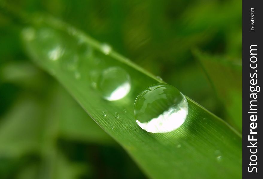 Some waterdrops on a grass blade