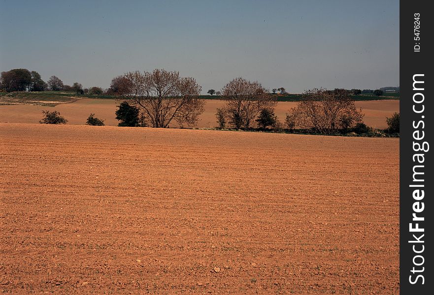 Ploughed Field In Spring.