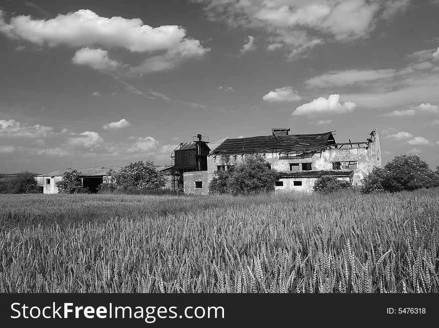 Scenery with corn field and an old farm. This image was created in the Czech Republic. Scenery with corn field and an old farm. This image was created in the Czech Republic.