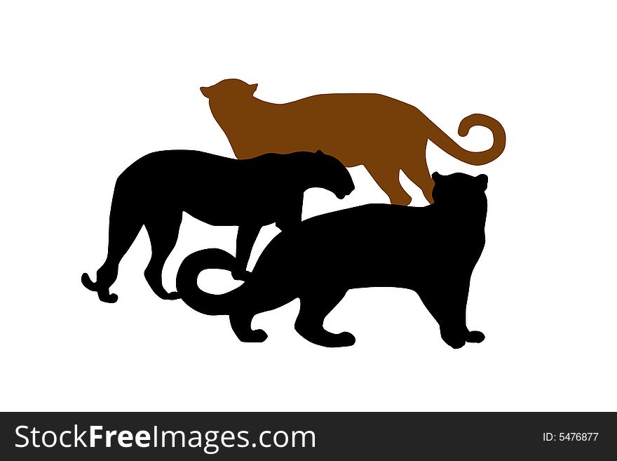 Wildlife black silhouettes ,cats,predator. Wildlife black silhouettes ,cats,predator