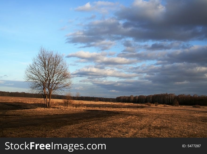 A tree, standing by the country road, clouds on the sky. A tree, standing by the country road, clouds on the sky