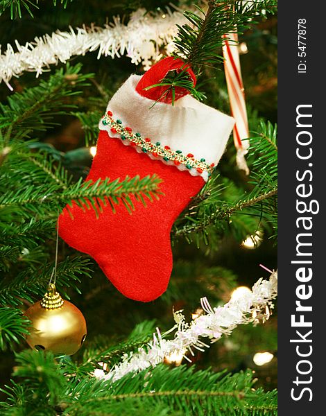 Christmas Socks hanging on a Christmas Tree