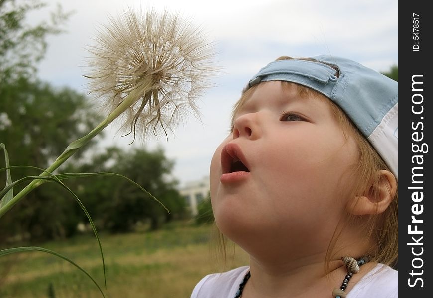 Little girl with a cap blowing a dandelion. Little girl with a cap blowing a dandelion.