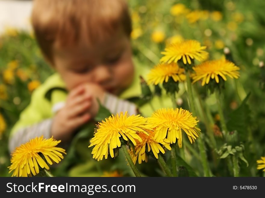 Child with the bouquet of dandelions in the hands. Child with the bouquet of dandelions in the hands