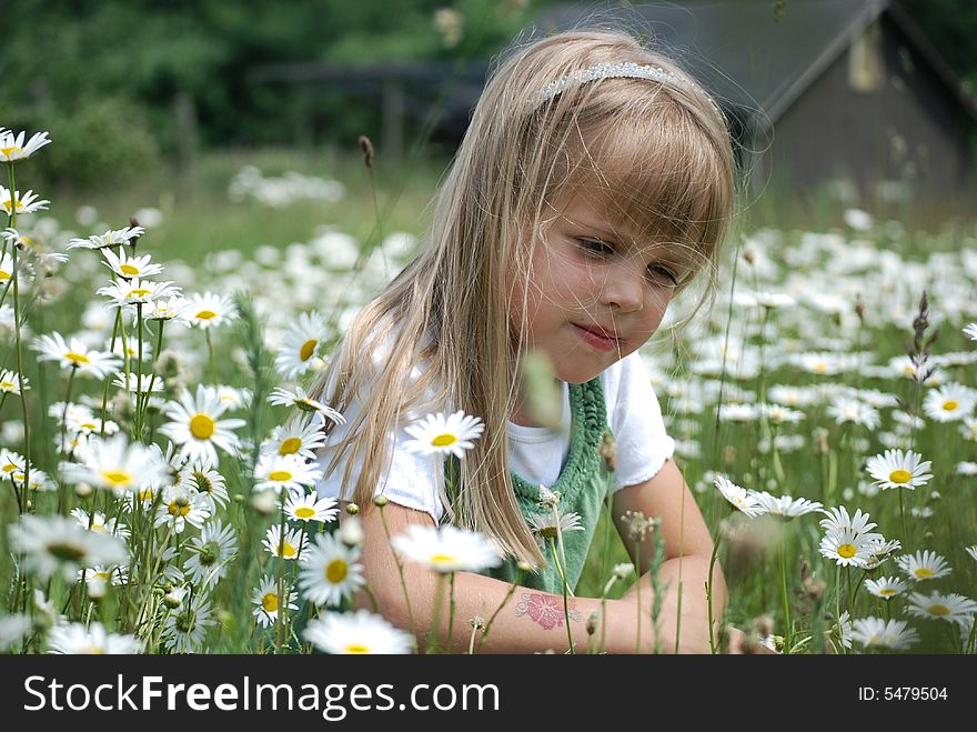 Young girl in a field of daisies. Young girl in a field of daisies.