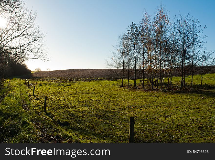 Green summer landscape scenic view image