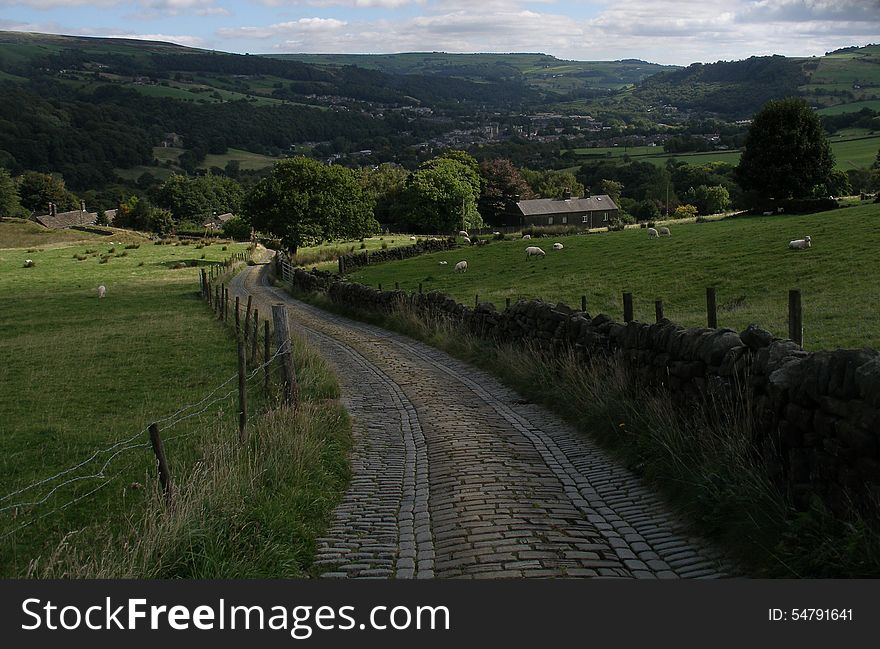 Walking On Yorkshire Moors.