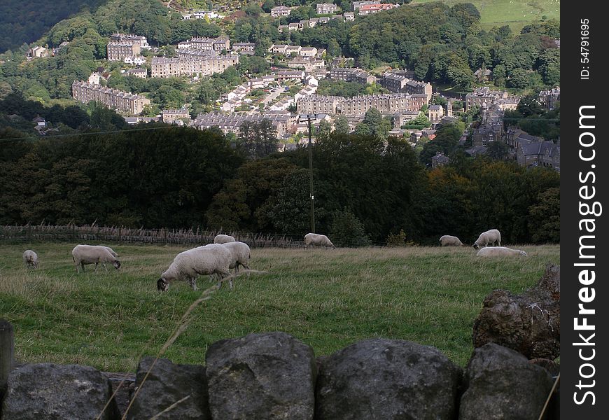 Walking on yorkshire moors.