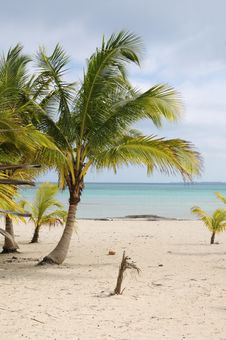 Tropical Beach View Royalty Free Stock Photos Tropical Beach View Royalty Free Stock Photos