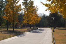 Autumn Scenery In Beijing Royalty Free Stock Photos Autumn Scenery In Beijing Royalty Free Stock Photos