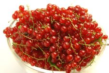 Berries Royalty Free Stock Photo Berries Royalty Free Stock Photo