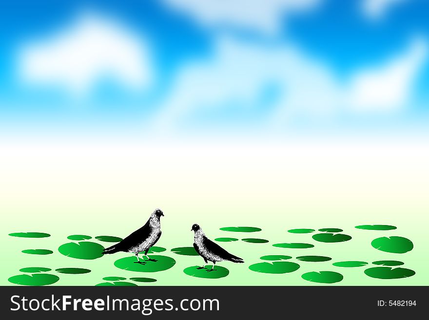 Two doves sitting on lotus leafs in the around the water and blue sky