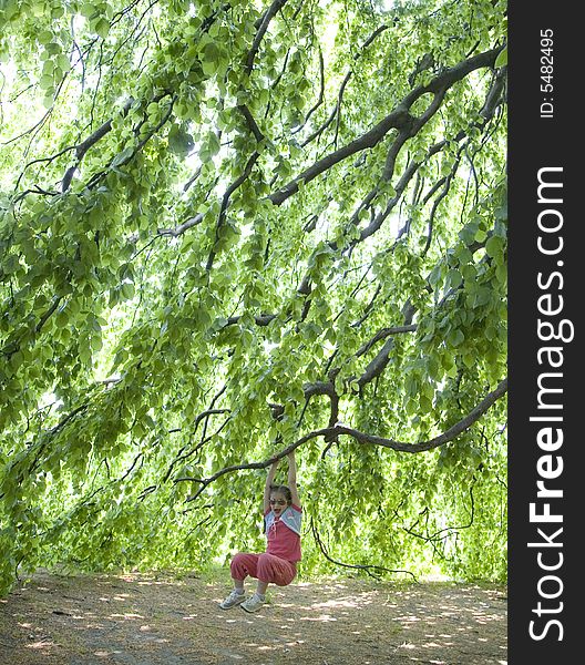 Child playing hanging up a tree