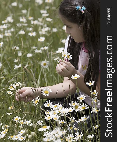 Picking Daisies