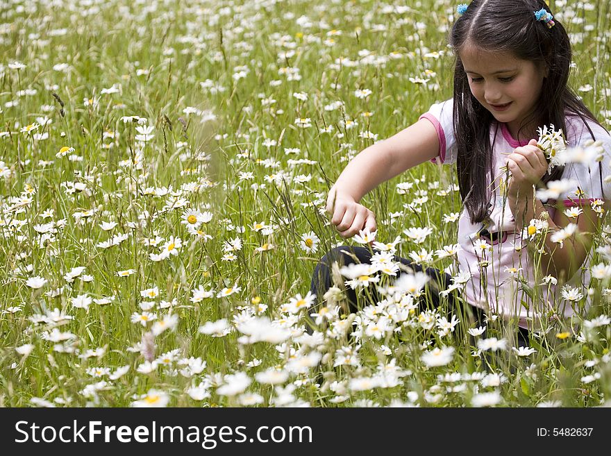 Picking Daisies