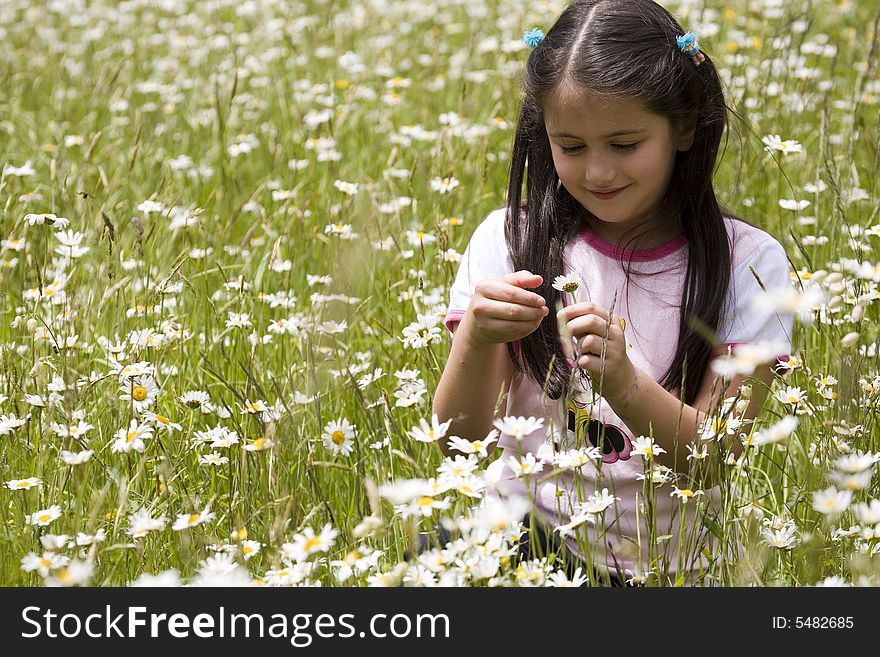 Picking Daisies