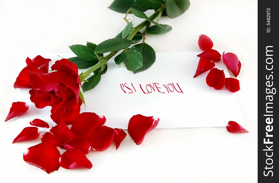 An image of a valentine rose with a message on notecard. An image of a valentine rose with a message on notecard.