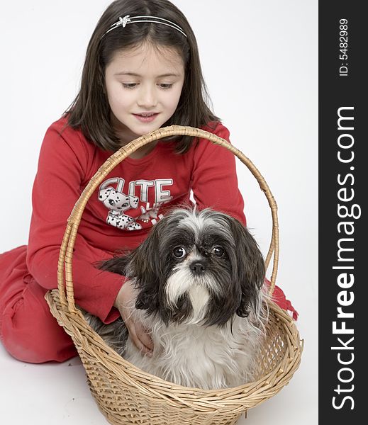 Young girl with her small dog. Young girl with her small dog