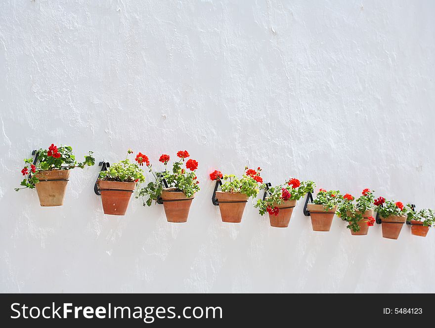 Row of flowerpots on the white wall