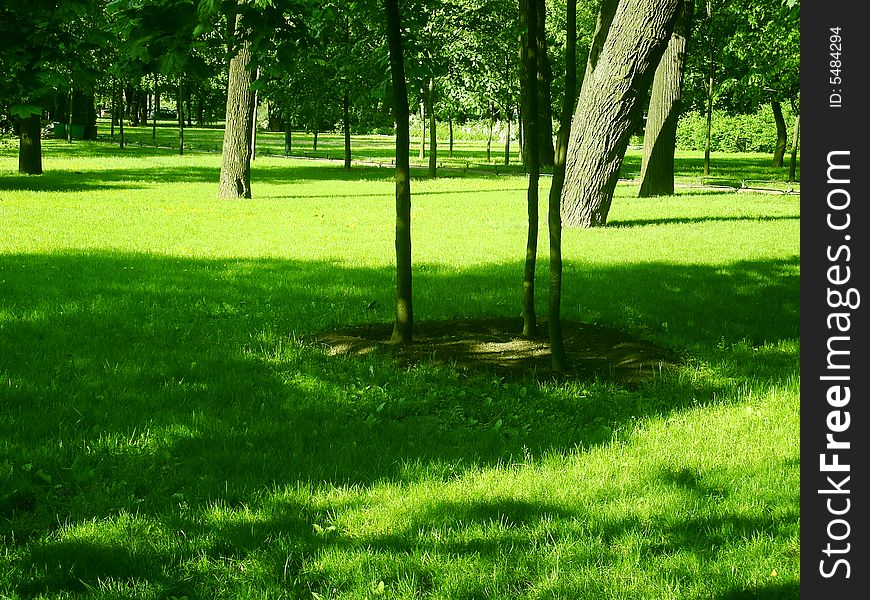 Photo about green summer park and sunlight