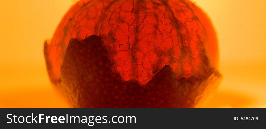 The tangerine orange translucent yellow