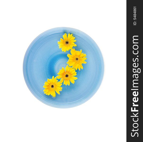 Yellow gerbera Daisies in blue bowl