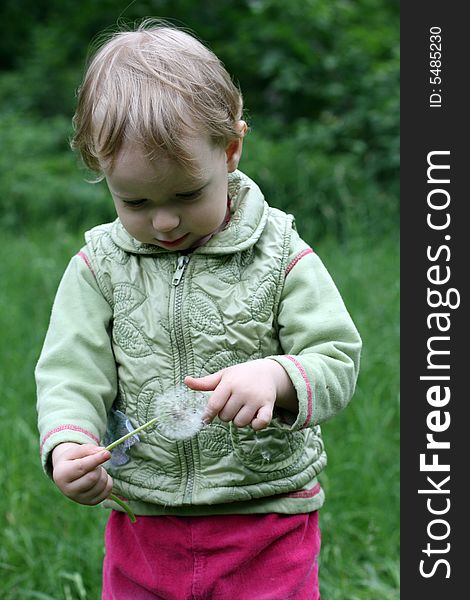 The little girl with a dandelion on a background of green trees