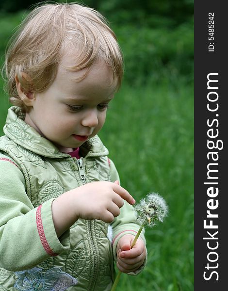 The little girl with a dandelion on a background of green trees