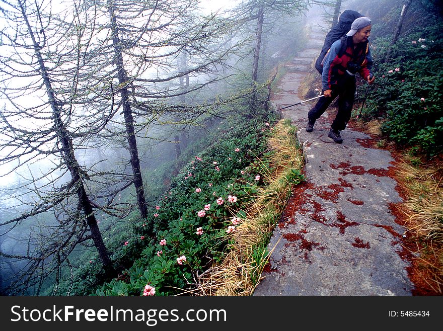 A hiker walking in the forests of Taibai mountain.Shaanxi province,China.