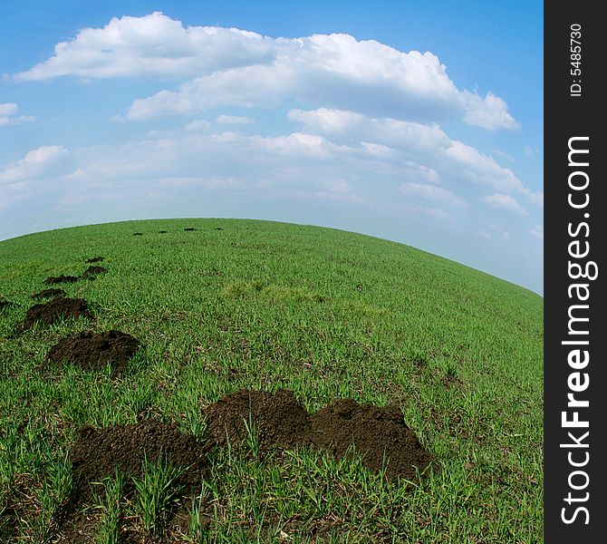 Green field in Saratov, with mole's holes. Green field in Saratov, with mole's holes.