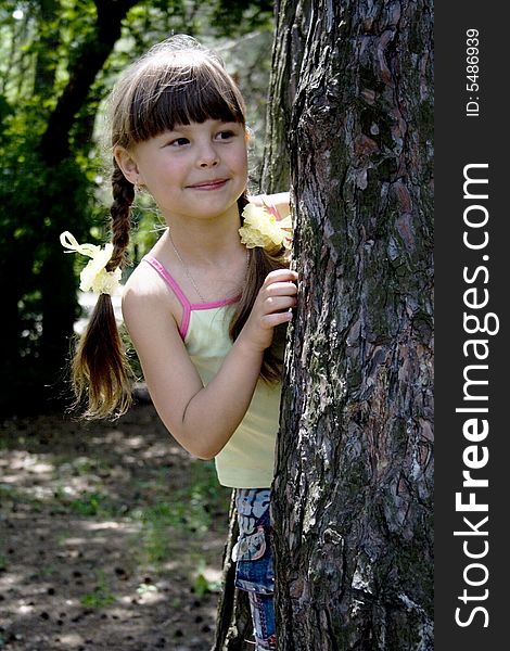 The little girl hides in wood behind a tree. The little girl hides in wood behind a tree