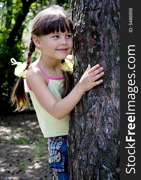 The little girl hides in wood behind a tree. The little girl hides in wood behind a tree