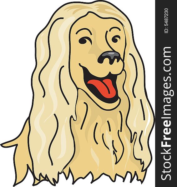 Afghan Hound