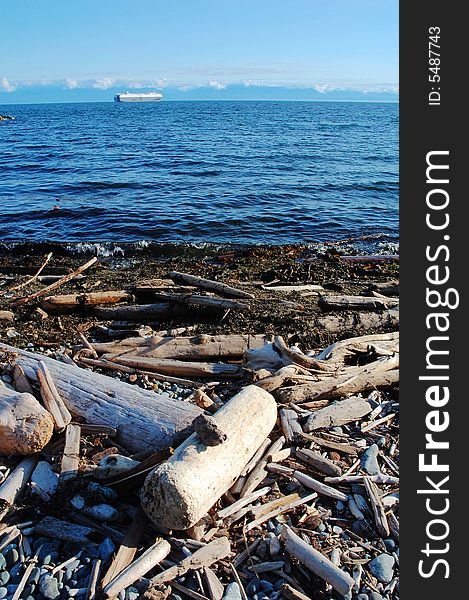 Seaside driftwoods at Holland point park, victoria, british columbia, canada