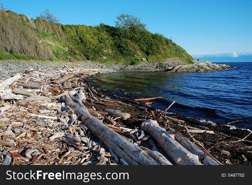 Seashore along Dallas road in victoria, british columbia, canada