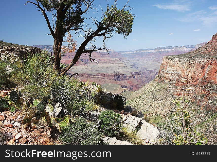 Vief of Scenery from Grand Canyon in Arizona