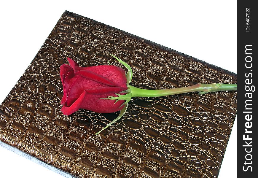 Red rose on a picture album from a leather of the crocodile. Red rose on a picture album from a leather of the crocodile.