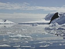 Antarctica Iceberg 3 Stock Photo