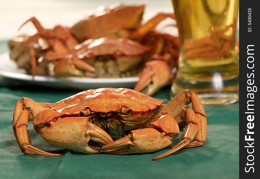 Close up of a whole steamed crab and a plate with several crabs and beer at background. Close up of a whole steamed crab and a plate with several crabs and beer at background
