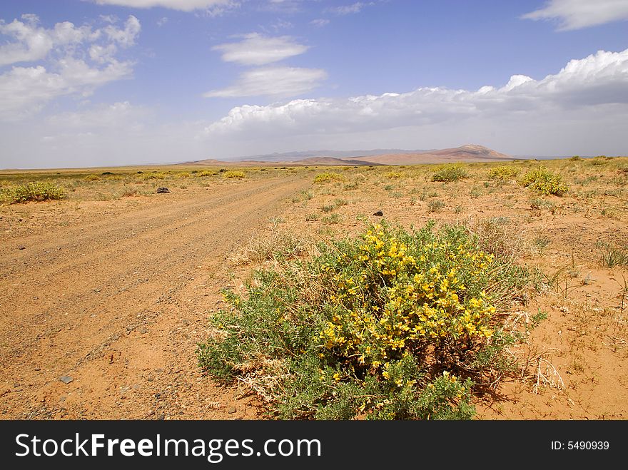 Panorama Of The Steppes, Central Mongolia