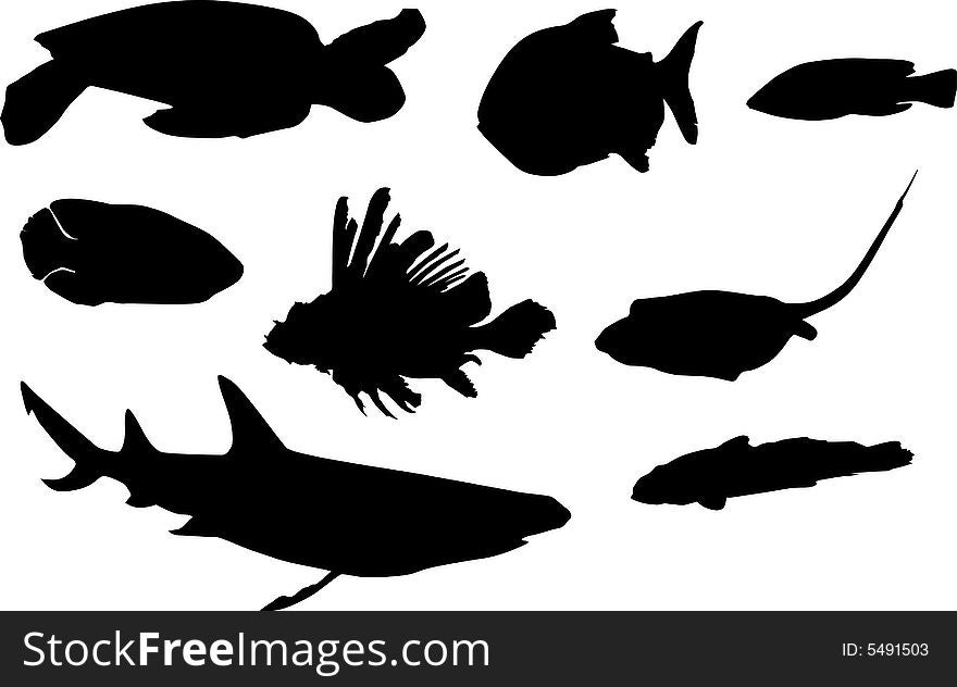 Fish silhouettes collection isolated on white background. Fish silhouettes collection isolated on white background