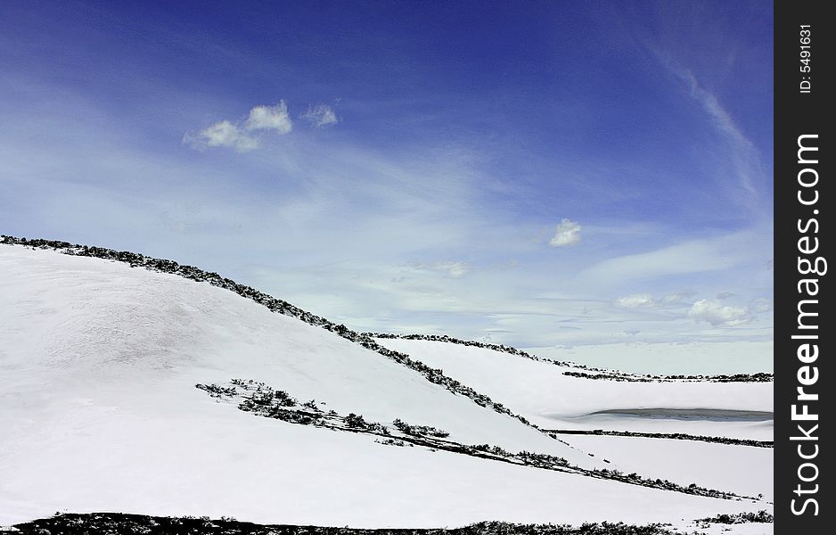 View of a snowy field with curved dark outlines. View of a snowy field with curved dark outlines